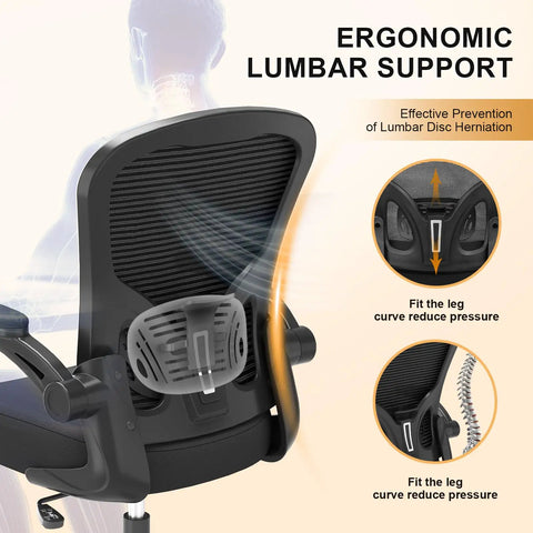 Ergonomic Mesh Desk Chair With 330Lbs Capacity, High Back Support, Adjustable Lumbar Detail, Flip Up Armrests