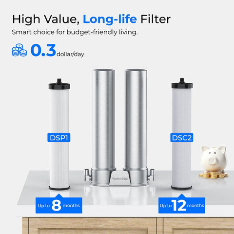 DST Under Sink Water Filter System For Cold Municipal Tap Water, NSF Certified Elements displayed on countertop