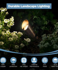 Solid Brass Outdoor Landscape Spotlights 12V Low Voltage LED Waterproof Garden Yard Up Lighting Bronze Finish Heavy Duty Brass Construction 6 Pack Without MR16 Bulb illuminating garden flowers at night.