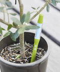 Green plant soil moisture sensor pen set five leave in meter for small pots, ideal for succulents and indoor plants in soil.