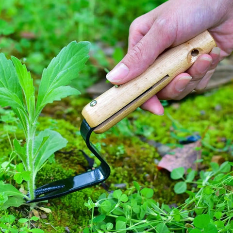 Root Lifter Weeding Tool For Lawn And Yard Hand Weeder With Angled Head For Easy Weed Removal and Deep Root Digging
