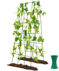 Foldable Metal A-Frame Cucumber Trellis 48 By 18 Inches For Narrow Raised Beds supporting cucumber vines and vegetables in garden.