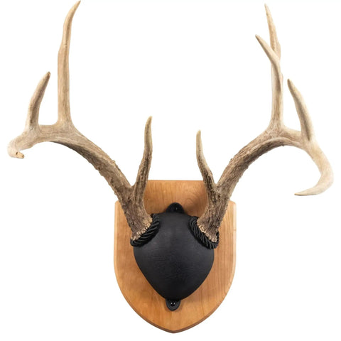 Antler Display Kit In Solid Cherry Wood For Whitetail And Mule Deer, Includes Hardware, Instructions, And Easy Assembly, Made In Wisconsin USA