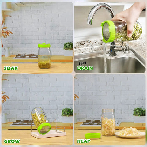 Seed Sprouting Kit With 2 Large Wide Mouth Mason Jars, Sprout Lids, Drain Tray, Blackout Sleeves, Stainless Stand, Easy Home Sprouting For Bean Sprouts, Broccoli, Alfalfa And More