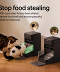 Cats eating from RFID Cat Feeder With Collar Tag Sensor For Personalized Meals, Cat Recognition, Diet Tracking And Anti Theft In Multi Pet Homes.