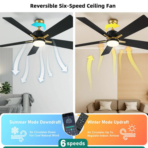 52 Inch Modern Black Gold Ceiling Fan With Led Light Remote And Smart App Control showing summer and winter airflow modes.