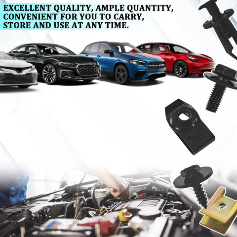 Badass 100 Piece Car Body Screw And Bolt Kit Featuring Universal U Screws Fasteners for Bumper Repair and Vehicle Trim, showing various fasteners.