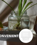 Jar with plant roots for White Square Nursery Pots Set 12 Pack Plastic Planters For Indoor Outdoor Gardens Hydroponic Planting And Root Monitoring