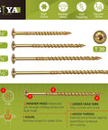 Built Legit Quarter Inch By Three Quarter Structural Lag Screws Fifty Pack with Torx Star Drive, 4 sizes shown.
