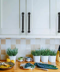 Matte Black 5 Inch Cabinet Handles Set 10 Pack Heavy Duty Solid Metal Kitchen Cabinet Pulls For Cupboards And Drawers Rustproof Anti Corrosion Non Toxic Easy To Clean And Install Diy Friendly Asidrama installed on white cabinets in a kitchen setting with plants and utensils on the counter