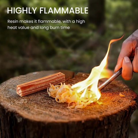 Fatwood Fire Starter Sticks Pack Resin Rich Tinder Waterproof And Windproof For Camping Hiking Bushcraft And Survival Gear Includes Four Three Point Nine Inch Sticks With Pre Drilled Hole For Ferro Rod on tree stump, igniting with flame