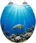 Round Resin Quiet Close Toilet Seat Cover for Bathroom with turtle design in ocean scene and coral reef.