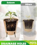 Eco Friendly 3.15 Inch Peat Pots Set Of 60 Biodegradable Seed Starter Pots With 60 Labels, highlighting drainage holes and plant growth.