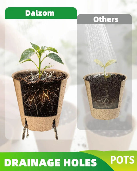 Eco Friendly 3.15 Inch Peat Pots Set Of 60 Biodegradable Seed Starter Pots With 60 Labels, highlighting drainage holes and plant growth.