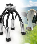 Pro Grade Cow Milking Cluster With 4 Teat Cups 240cc Milk Claw For Vacuum Pump Milking Machine and cow in field