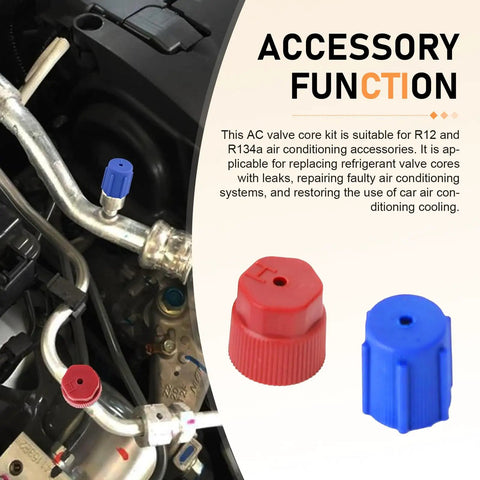 17-Piece Car AC Valve Core Kit For R12 R22 R134a Systems With red and blue sealed pressure caps
