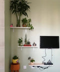 Heavy Duty Wall Mounted Metal Shelf Brackets Flat Out Reliable Furniture Supports Rust Proof Water Resistant Build Set Of Two, showcasing plants and TV decor.