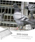 Steel Pigeon Cage Door With Secure Lock For Bird Loft Entry Gate beside pigeons inside loft showing cage entry use