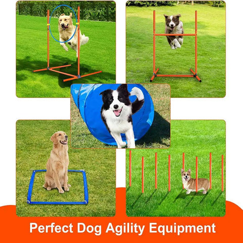 Dogs using Budget Friendly All In One Dog Agility Training Set With Tunnel Weave Poles Hurdles on grass
