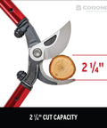 32 Inch Beefy MAXFORGED Steel Branch Cutter For Heavy Duty Pruning Up To Two And A Quarter Inch Thick Branches close-up cutting