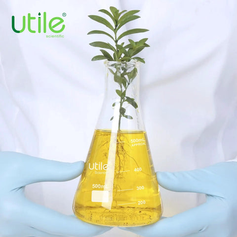 Person holding conical flask with yellow liquid and plant, from Six Pack 50ml Narrow Mouth Borosilicate 3.3 Glass Erlenmeyer Flasks Set