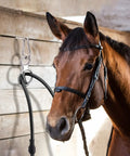 Horse tied in stall using Two Sets Horse Tie Ring And Training Gear Pack With Quick Snaps, Eye Bolts, And Tie Rings Six Piece Safe Durable Horse Tack For Training Handling And Stable Use.