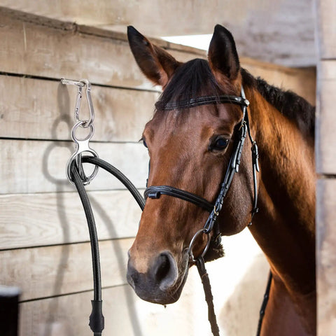 Horse tied in stall using Two Sets Horse Tie Ring And Training Gear Pack With Quick Snaps, Eye Bolts, And Tie Rings Six Piece Safe Durable Horse Tack For Training Handling And Stable Use.