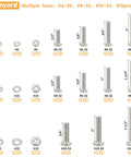 Image showing the 815-Piece Machine Screws Assortment Kit with case, including various sizes of stainless steel screws, nuts, and washers.