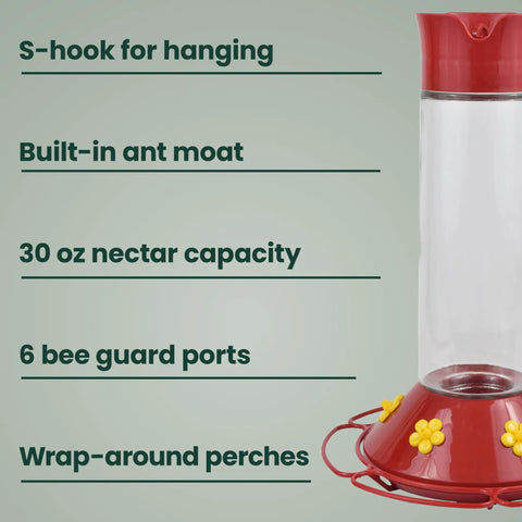 Glass Hummingbird Feeder For Outdoors Hanging, 30 Oz Nectar Capacity, Ant And Bee Guarded Red Bird Feeder with S-hook