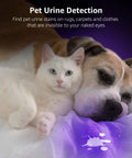 Cat and dog on bed, UV light reveals pet urine stain on white sheets. 51 LED UV Light Handheld Blacklight 395nm Ultraviolet Flashlight Detects Pet Urine Stains Bed Bugs Scorpions Spots On Rugs Carpets And Clothes Portable Battery Not Included.