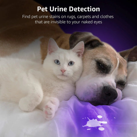 Cat and dog on bed, UV light reveals pet urine stain on white sheets. 51 LED UV Light Handheld Blacklight 395nm Ultraviolet Flashlight Detects Pet Urine Stains Bed Bugs Scorpions Spots On Rugs Carpets And Clothes Portable Battery Not Included.