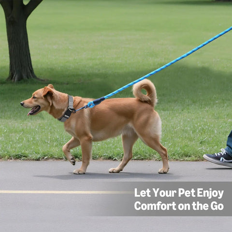 Built Tough Heavy Duty Round Dog Leash Featuring A Comfy Cushioned Grip Handle And Durable Recycled Polyester Rope Perfect For Daily Strolls And Pup Training Adventures In Blue Six Feet