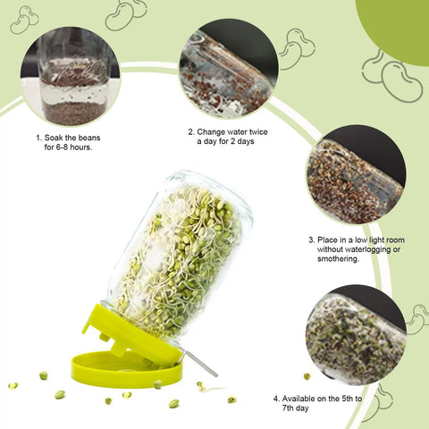 Top Shelf Wide Mouth Mason Jar Sprouting Kit shown with growth stages, featuring metal mesh cover and drip tray for easy sprouting.