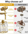 Comparison of Straight Up Three Pack Brushed Gold Crystal Pendant Lights For Kitchen Islands against market regular models.
