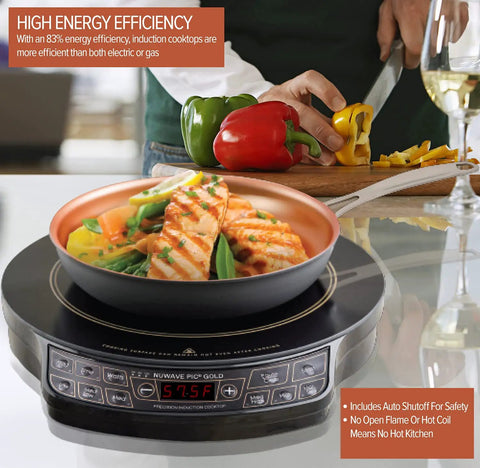 Gold Precision Induction Cooktop Portable And Powerful With Large 8 Inch Heating Coil 100 F To 575 F Temperature Range Three Wattage