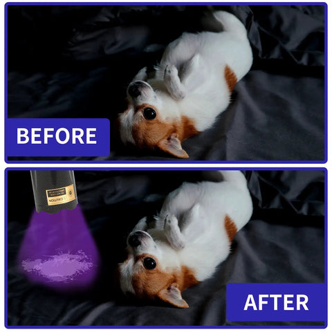 Dope Dual 365nm 395nm UV Flashlight Handheld Black Light Torch revealing pet urine stains on bedding with UV light in use