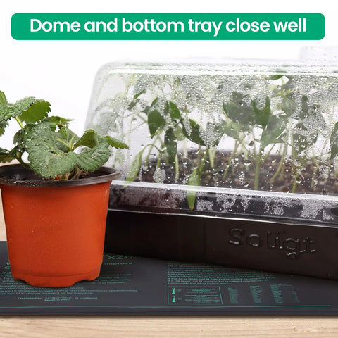 Two Pack 60 Cell Seed Starter Kit With Humidity Domes And Seedling Heat Mats For Easy Cloning Propagation And Germination Station Your All In One Garden Grow Kit For Beginners And Pros