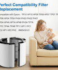 360 Combi Glass HEPA And Carbon Filter Replacement For TP10 HP10 HP09 TP09 shown next to woman holding a cat on a couch