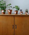Six Inch Black Arch Cabinet Handles Set Of Six Vintage Iron Drawer Pulls on wooden cabinet with plants on top
