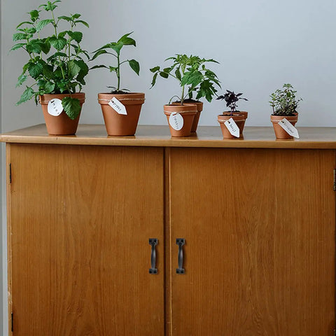 Six Inch Black Arch Cabinet Handles Set Of Six Vintage Iron Drawer Pulls on wooden cabinet with plants on top