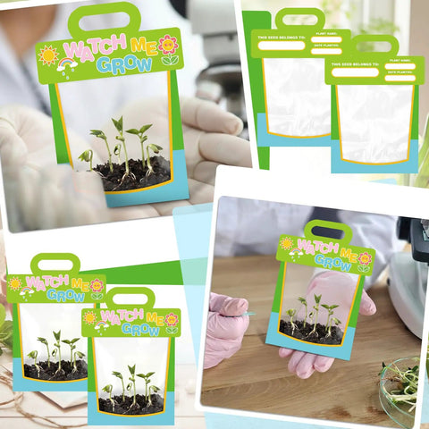 36 Pack Clear Vinyl Pocket Greenhouse Bags With Cards for Teaching Science Projects and Crafts See Through Plastic Greenhouse Bags for Classroom Activities Science Fairs and Themed Birthday Parties