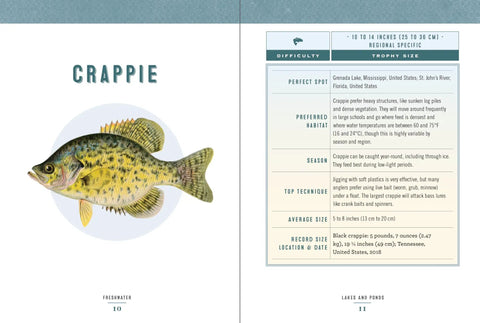 Illustration of crappie fish from Freshwater And Saltwater Trophy Fish Guide For Anglers Meet The Biggest Epic Species To Chase Grab The Trophy And Land Your Lifetime Catch Plus Pro Tips Top Spots And Gear Essentials For Real World Anglers.