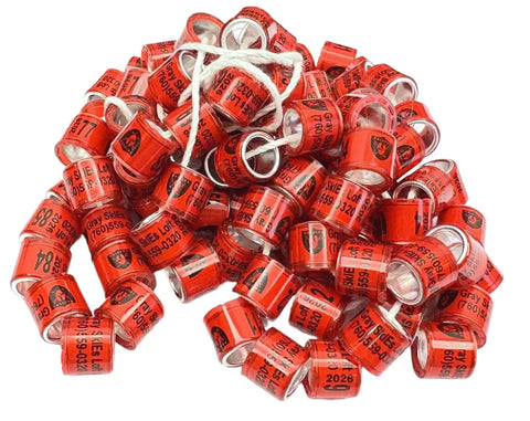 Personalized Pigeon Racing Bands Set, 100 Pcs 8mm Colorful Leg Rings With Loft Name, Year And Unique Number For Easy Identification And Tracking