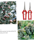 Two Pack Pruning Shears For Gardening Extendable Tree Pruner With Compact Design And Comfortable Handles, Anti Skid Grip, Lightweight Durable Garden Trimming Shears For Easy Pruning. Red garden pruning shears for fruit trees and grapevines