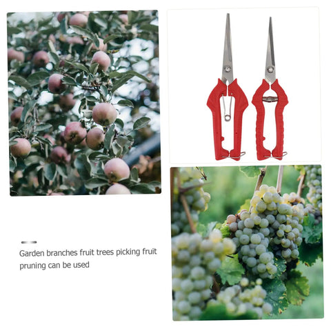 Two Pack Pruning Shears For Gardening Extendable Tree Pruner With Compact Design And Comfortable Handles, Anti Skid Grip, Lightweight Durable Garden Trimming Shears For Easy Pruning. Red garden pruning shears for fruit trees and grapevines