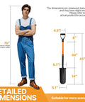 Heavy Duty 45 Inch Orange Fiberglass Handle Spade Shovel For Digging And Trenching In The Backyard dimensions comparison with person