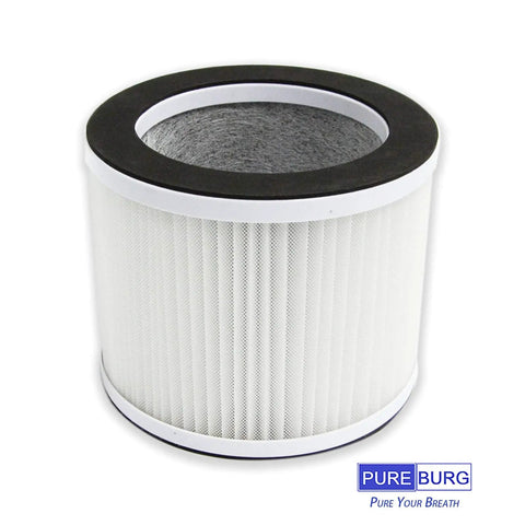 Replacement Filter For RIGOGLIOSO GL2109 And SimPure P03 Air Purifiers Two Pack H13 True HEPA with activated carbon, close-up view