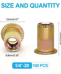 Rivet nuts, 1/4-20 UNC, zinc-plated carbon steel; 2 shown, 100 pcs kit