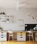 Stylish room with AirPro 4 Light Ceiling Fan Light Kit For Transitional Style Fans White Alabaster Glass Shades Includes 4 LED Bulbs Compatible With P2500 And P2501 AirPro Fans