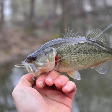 Person holding a fish with copper barrel crimp sleeves visible, part of the Copper Barrel Crimp Sleeves Kit 250 Pieces 5 Sizes.